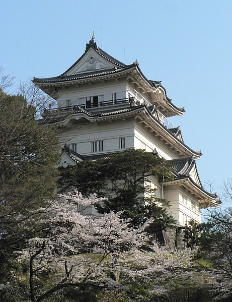小田原城と桜